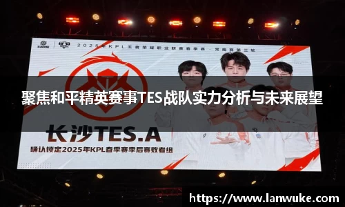 聚焦和平精英赛事TES战队实力分析与未来展望